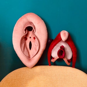 VULVA DELUXE anatomy set — educational plushy model with detachable clitoris