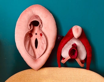 VULVA DELUXE anatomy set — educational plushy model with detachable clitoris