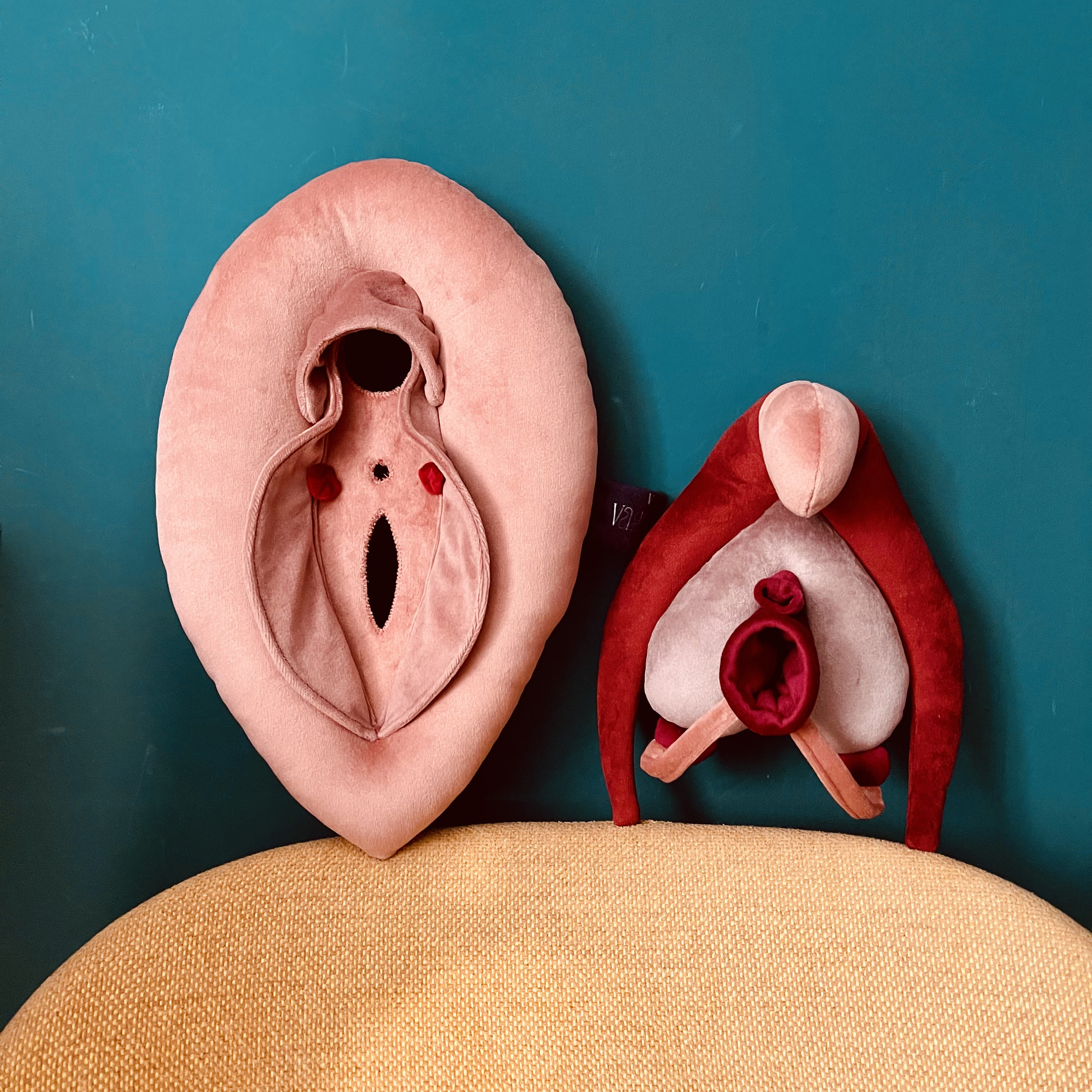 【ラプンツェル様用】ATAVISM / PUTREFIED GENITALIA VULVA DELUXE Anatomy Set — Educational Plushy Model With
