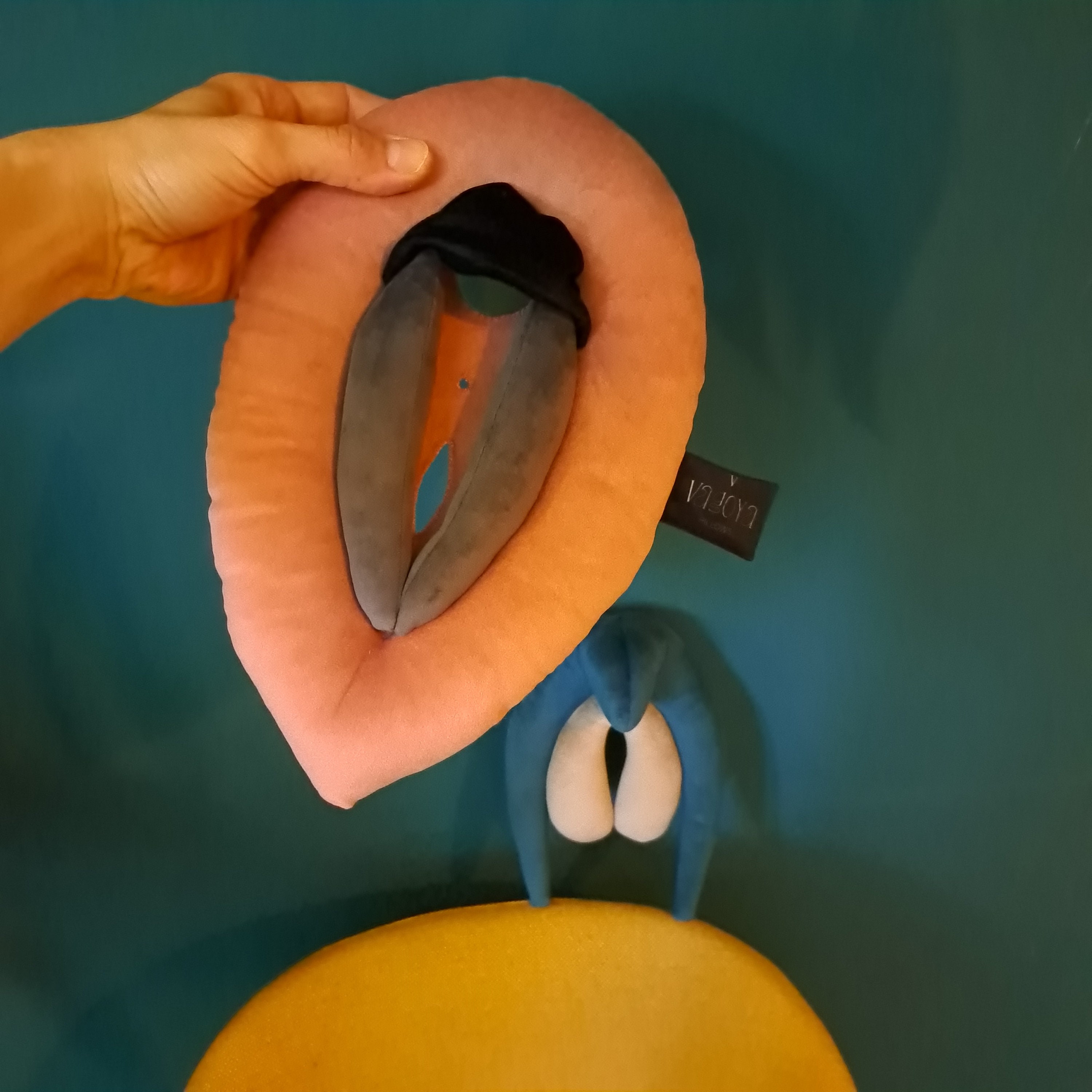 Vulva Puppet Vulva and Clitoris Anatomy Set Colorful Plushy Etsy Australia