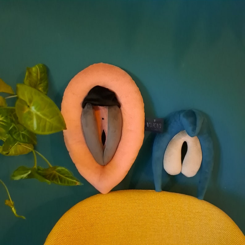 Vulva Puppet Vulva and Clitoris Anatomy Set Colorful Plushy Etsy Australia