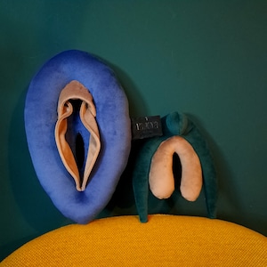 Vulva 2.0, anatomy set of vulva with detachable clitoris, colorful puppets for sex education, sex coaching gadget