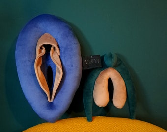 Velvet Vulva Anatomy Set, Detachable Clitoris, Sex Education Tool