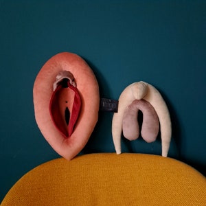 Sex therapy tools, velvet vulva with detachable clitoris pillows set, sex education pillows