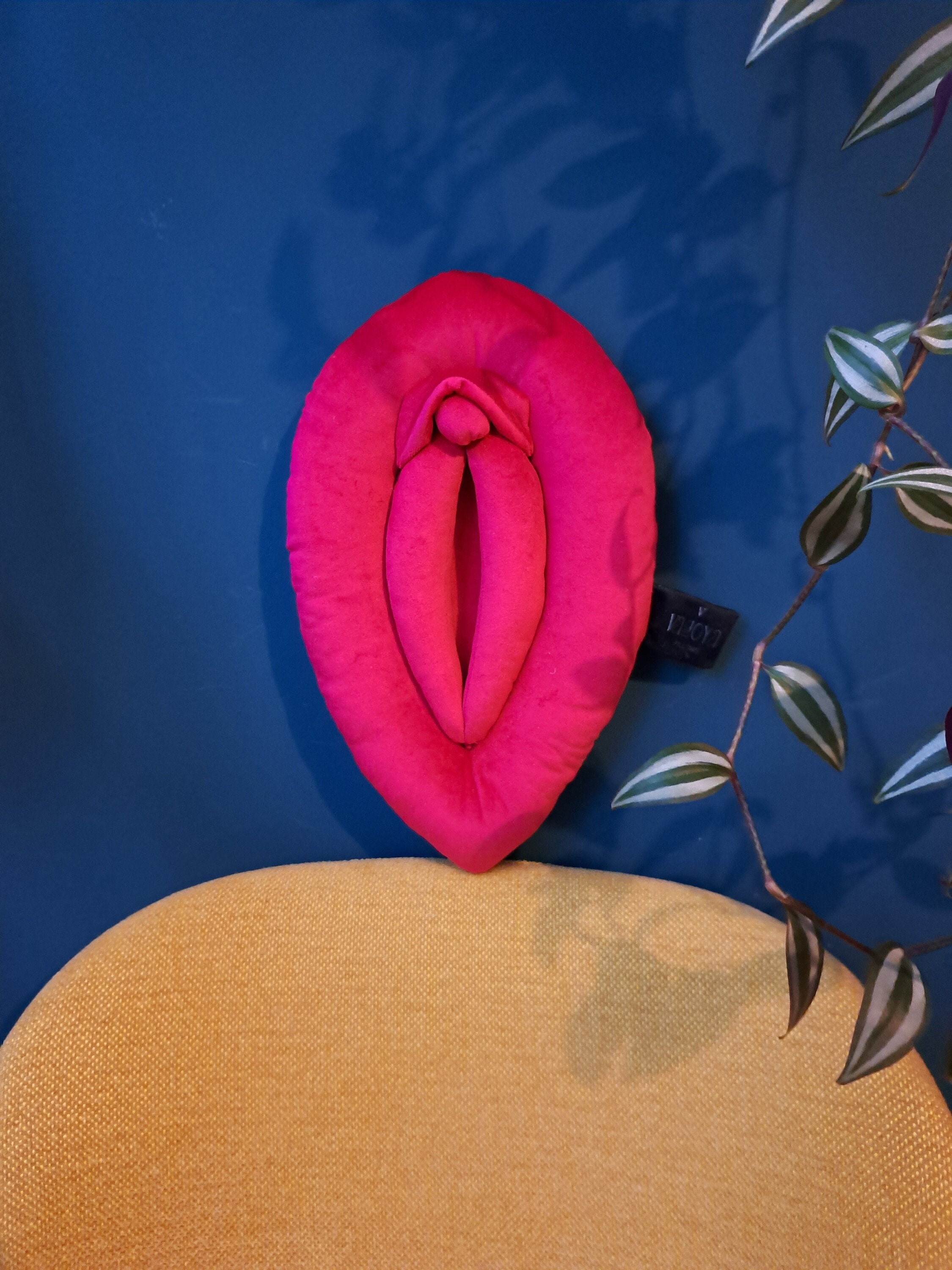 Vulva Pillow Intense Pink Vulva Puppet Sex Education Vagina - Etsy Norway