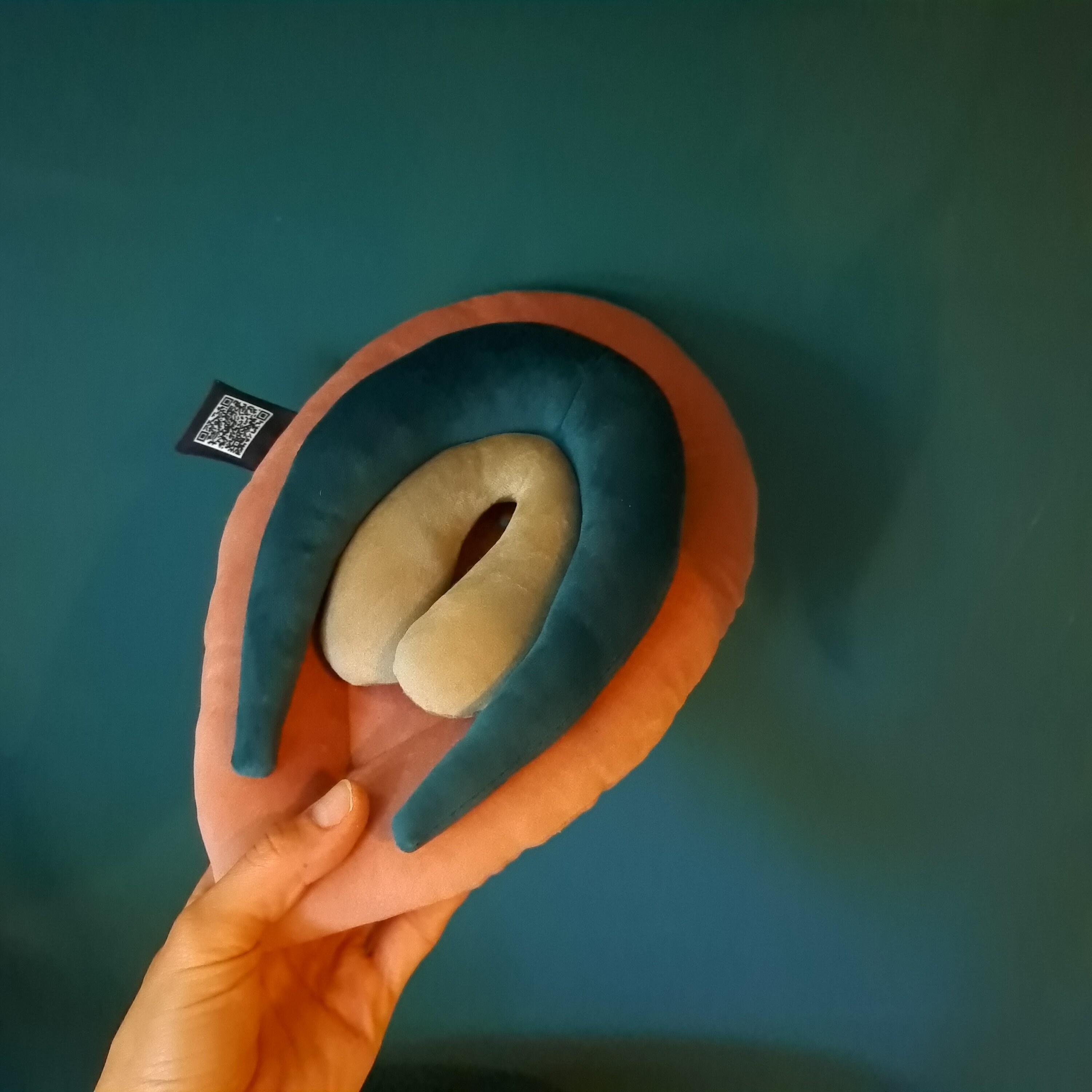 Vulva Puppet Vulva and Clitoris Anatomy Set Colorful Plushy Etsy Australia