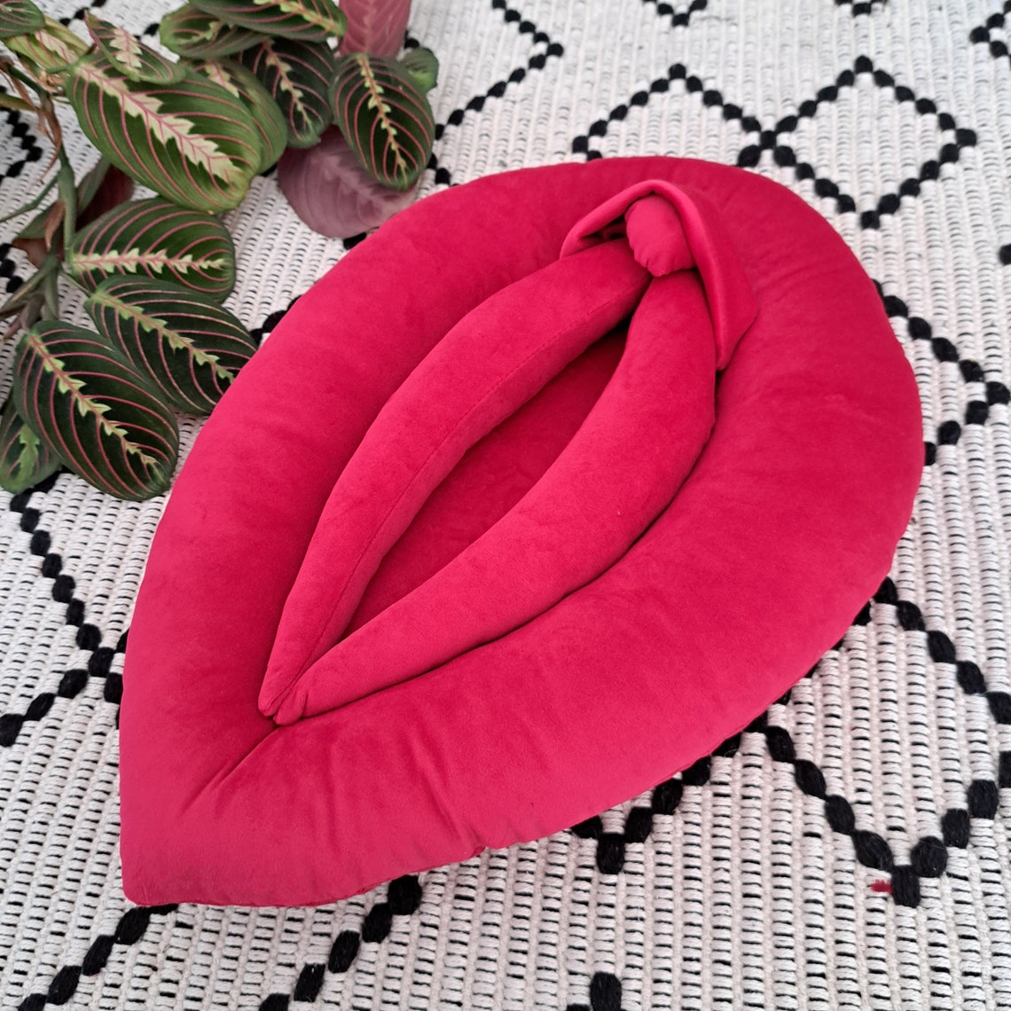 Vulva Pillow Intense Pink Vulva Puppet Sex Education Vagina Etsy