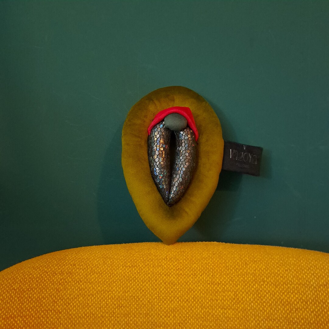 Vulva Pillow Small Colorful Vulva Puppet Sex Education Etsy Australia