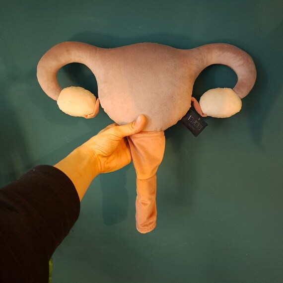 Uterus Pillow Pink Plushy Cushion With Vagina Ovaries and Fallopian Tubes Sex Education Gynekological Gadget Etsy