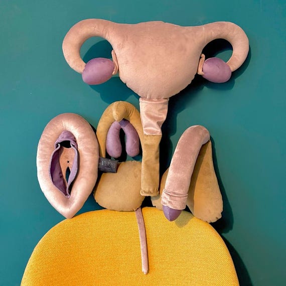 Sex Education Set, Sex Therapy Tools, Vulva 2.0 , Clitoris, Uterus Bladder and Penis Pillow Set, Plushy Puppets for Sex Coaching - Etsy Canada Sex Education Set, Sex Therapy Tools, Vulva 2.0 , Clitoris, Uterus Bladder and Penis Pillow Set, Plushy Puppets for Sex Coaching - Etsy Canada