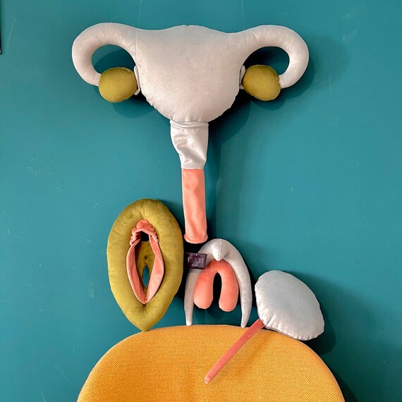 Sex Coach Tool, Vulva, Clitoris, Uterus and Bladder Pillow Set, Pink, Green  & Blue Plushy Puppets for Sex Educators, Genitourinary System - Etsy
