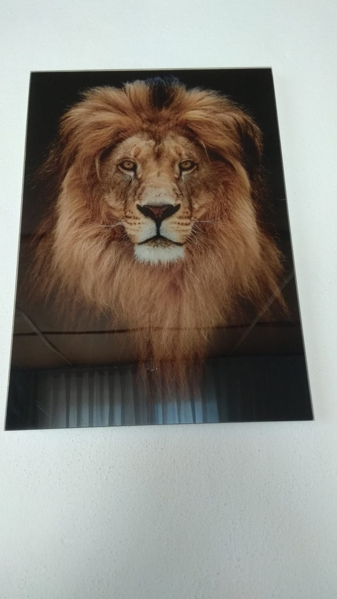 Lion Glass Wall Art Decor Print Ready to Hang Gift Abstract Etsy