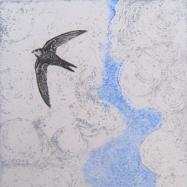 First Swift, an original collagraph print