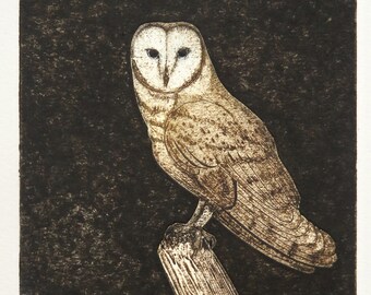 Barn Owl, a limited edition collagraph print