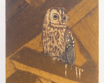Tawny Owl, an original collagraph print