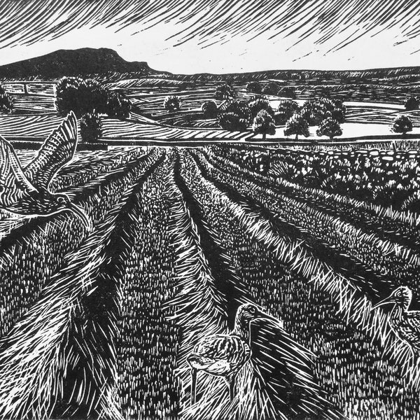 July - a limited edition linocut