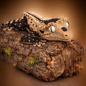 Articulated Crested Gecko Morph 3D printed