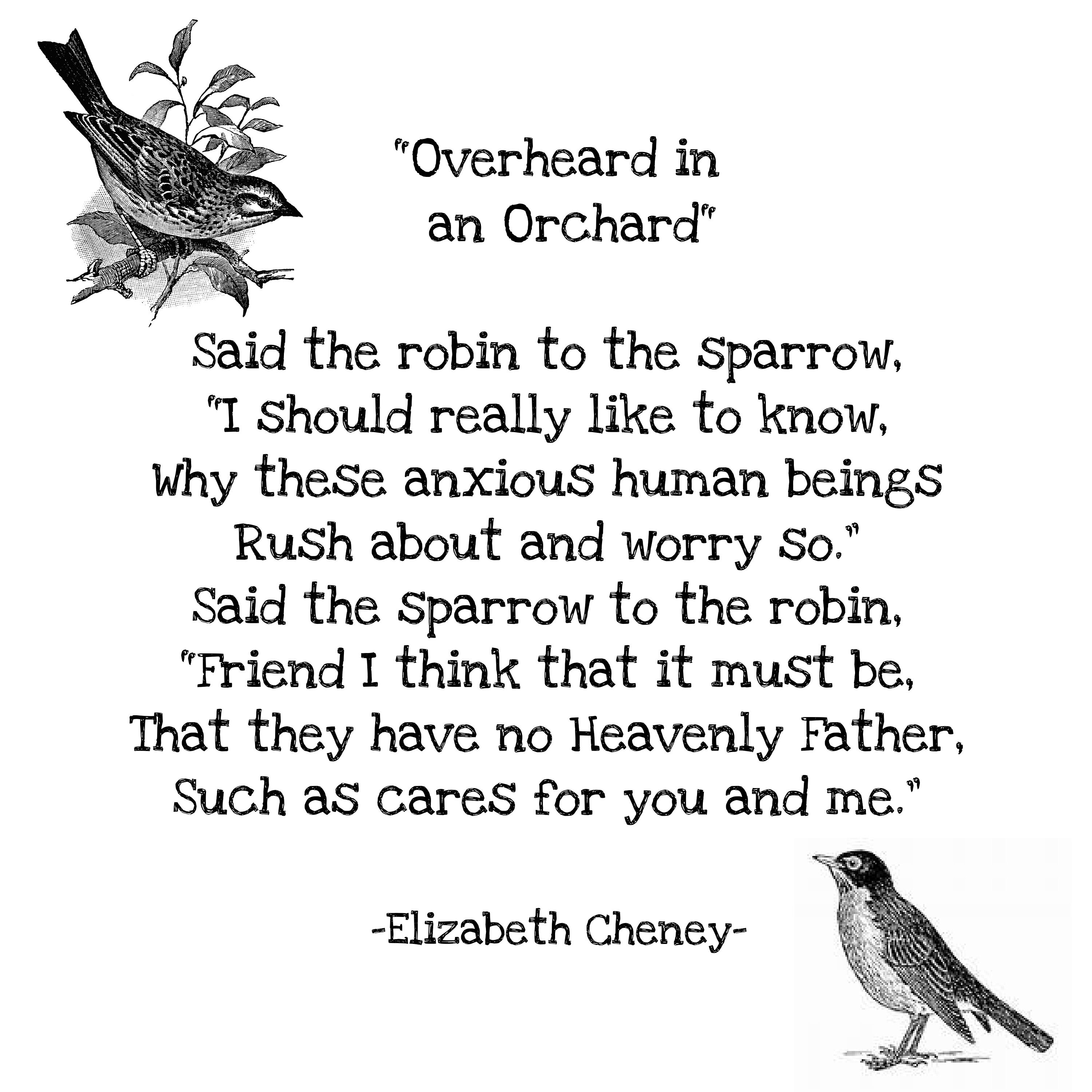 Said the Robin to the Sparrow Overheard in an Orchard Poem Elizabeth ...