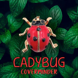 Coprimagnete coccinella 3D per tela con pittura a diamante / Magnete insetto animale da frigorifero / Accessori / Coprimagnete doppio / MadWoodTurning