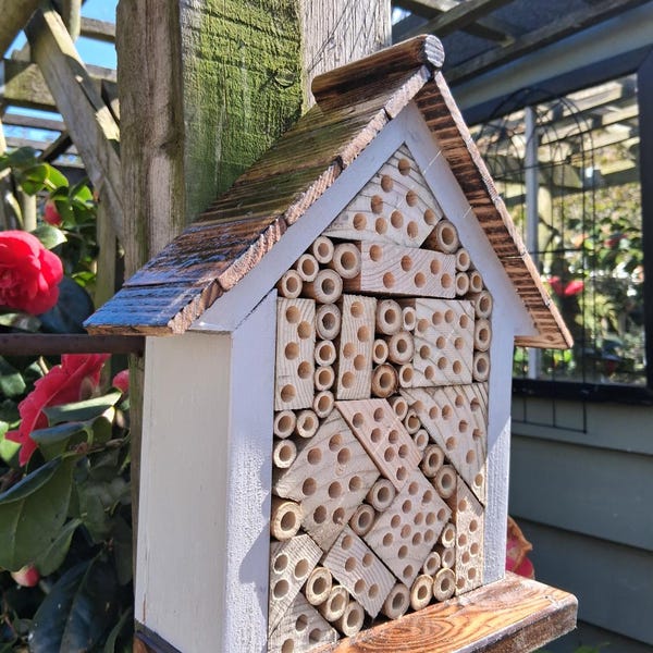 Brand new solitary bee house / insect hotel