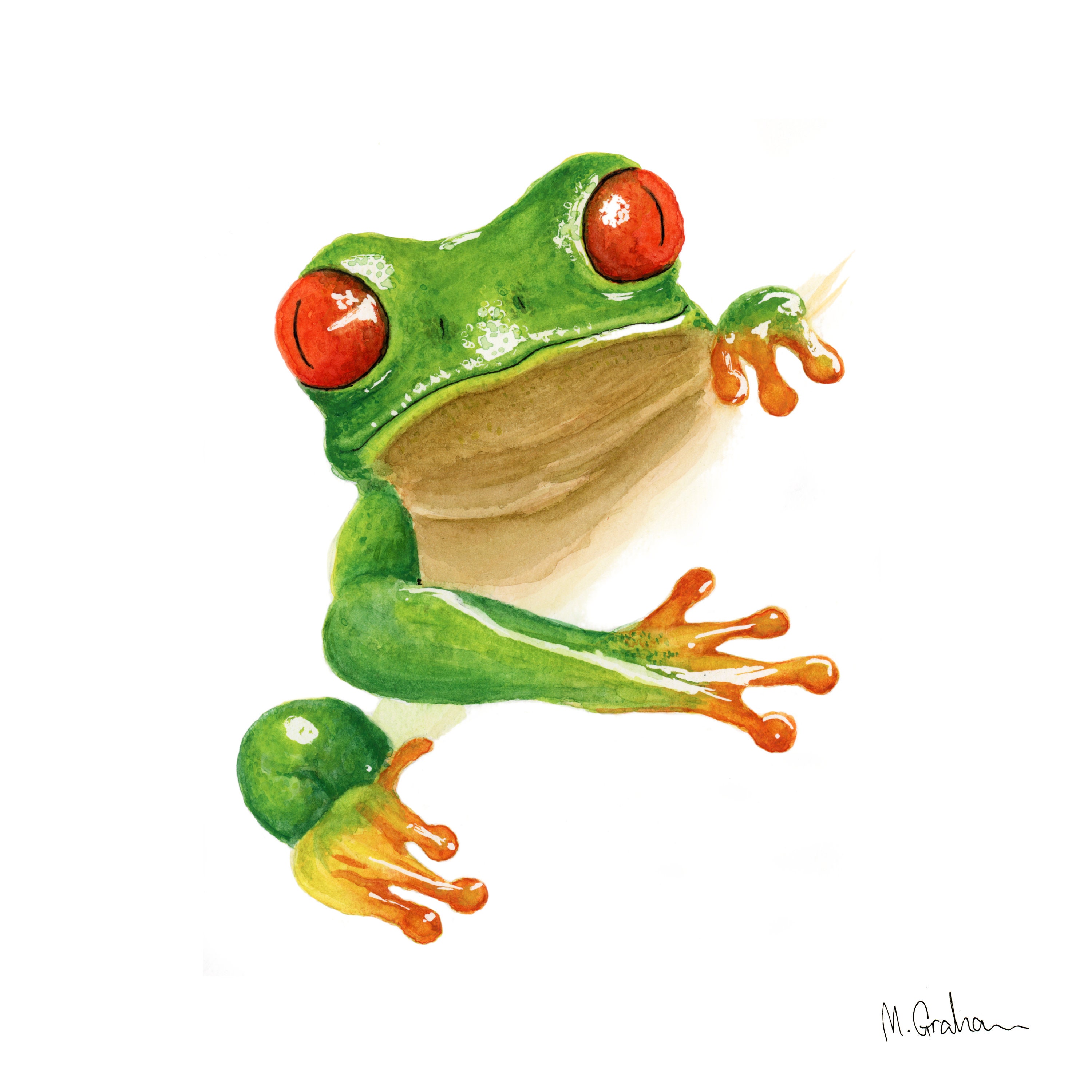 Frog Print of Watercolour Painting Treefrog Art Frog | Etsy