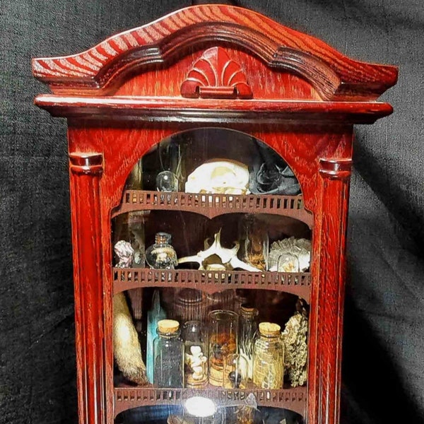 Ornate Curiosity Cabinet: Oddities & Vials Display Shelf - Handcrafted Intrigue for the Inquisitive