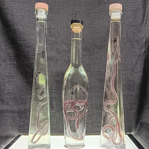 Diaphonized Garter Snake Wet Specimen: Oddities Collection, Dark Decor