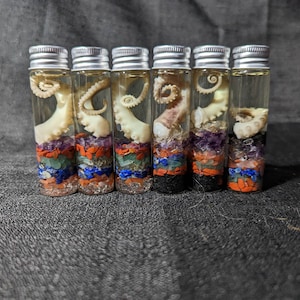 Wet Specimen Octopus Tentacle with Chakra stones