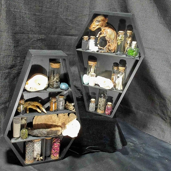 Coffin Curiosity Cabinet: Oddities & Vials Display Shelf - Handcrafted Intrigue for the Inquisitive