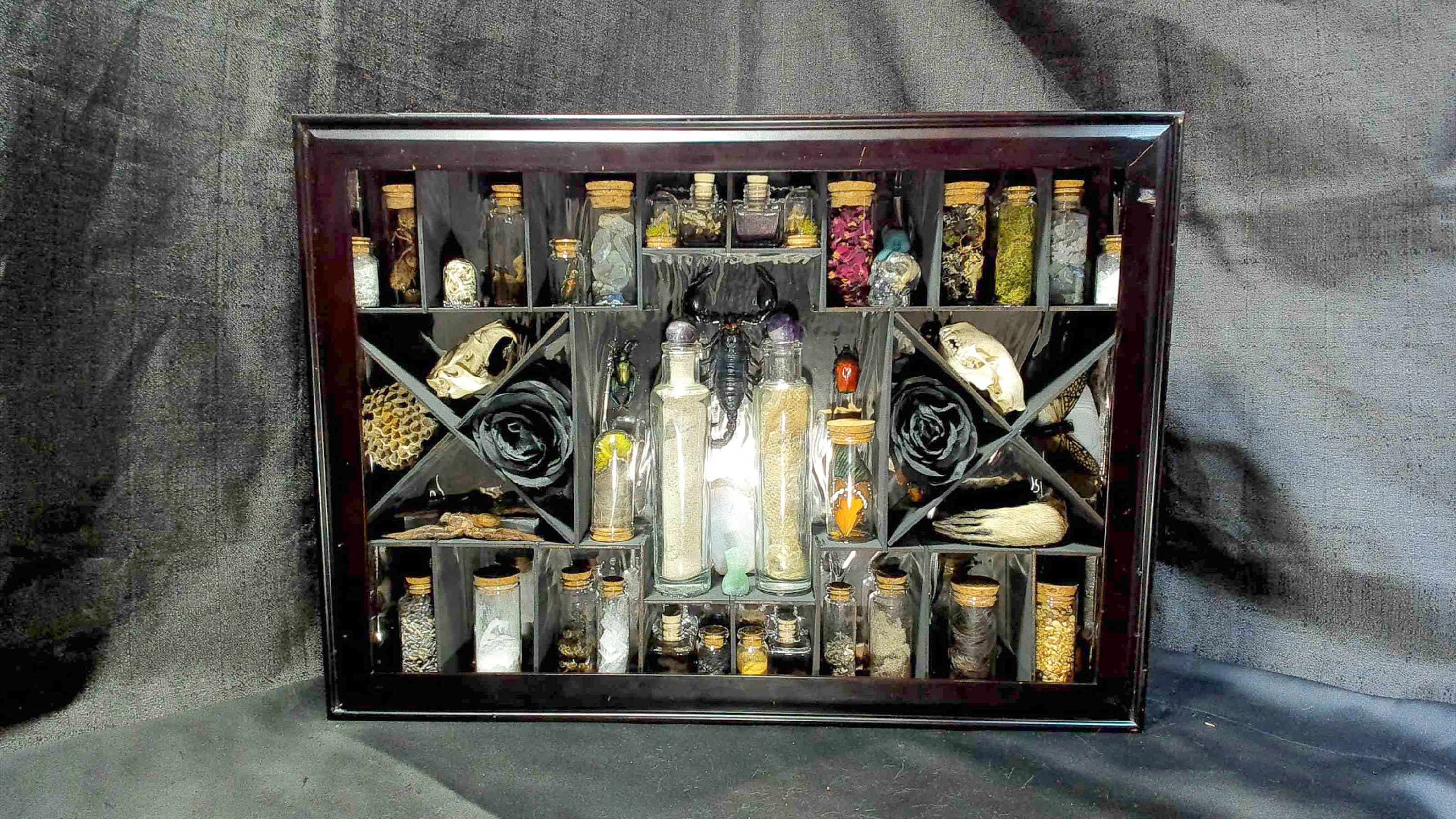 Curiosity Cabinet: Oddities & Vials Display Shelf