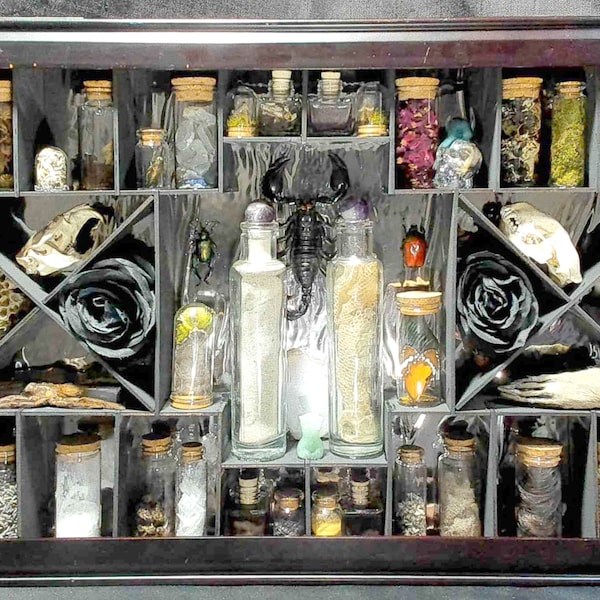 Curiosity Cabinet: Oddities & Vials Display Shelf - Handcrafted Intrigue for the Inquisitive