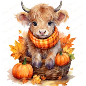 Op de afbeelding: Een aquarel illustratie van een Highland koe kalf met een oranje en gele geruite sjaal, genesteld in een rieten mand met pompoenen en herfstbladeren. Het kalf heeft lichtbruine vacht en kleine hoorns.