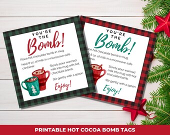 Hot Cocoa Bomb Tag, Hot Chocolate Bomb Directions, You're the Bomb Printable Tags