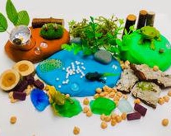 Playdough Kit Boys, Playdough Sensory Kit, Playdough Kit Christmas, Playdough Kit Toddler, Sensory Bin, Sensory Kits for Kid, Life of a Frog