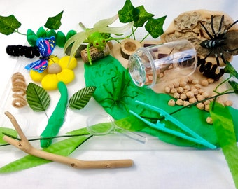 Playdough Sensory Kit, Learning Games, Insects Kids Kit, Playdough Game, Colorful Playdough, Birthday gift for children, Gifts for learning