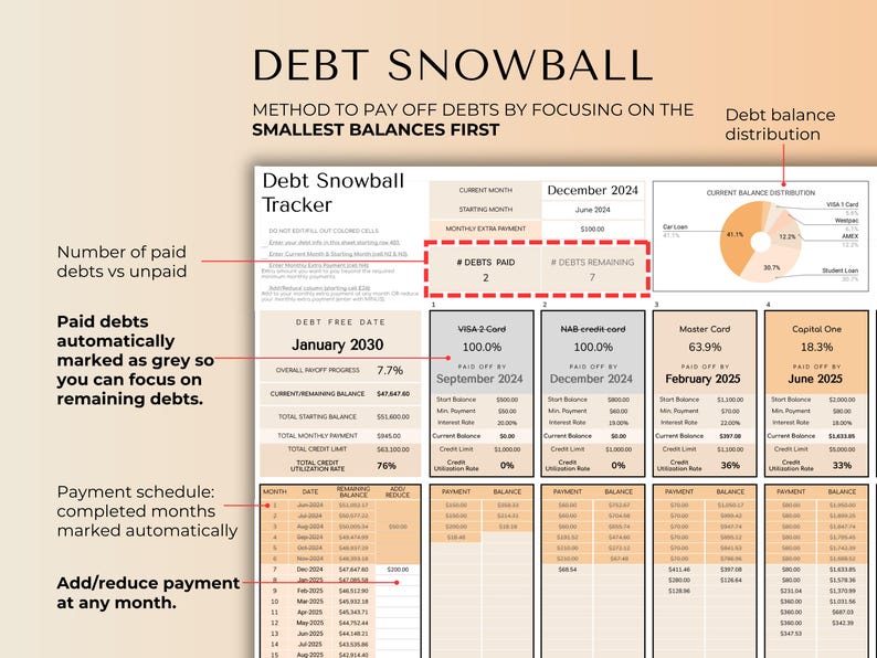 Debt snowball tracker showing paid debts, remaining debts, balance distribution, and payment schedules