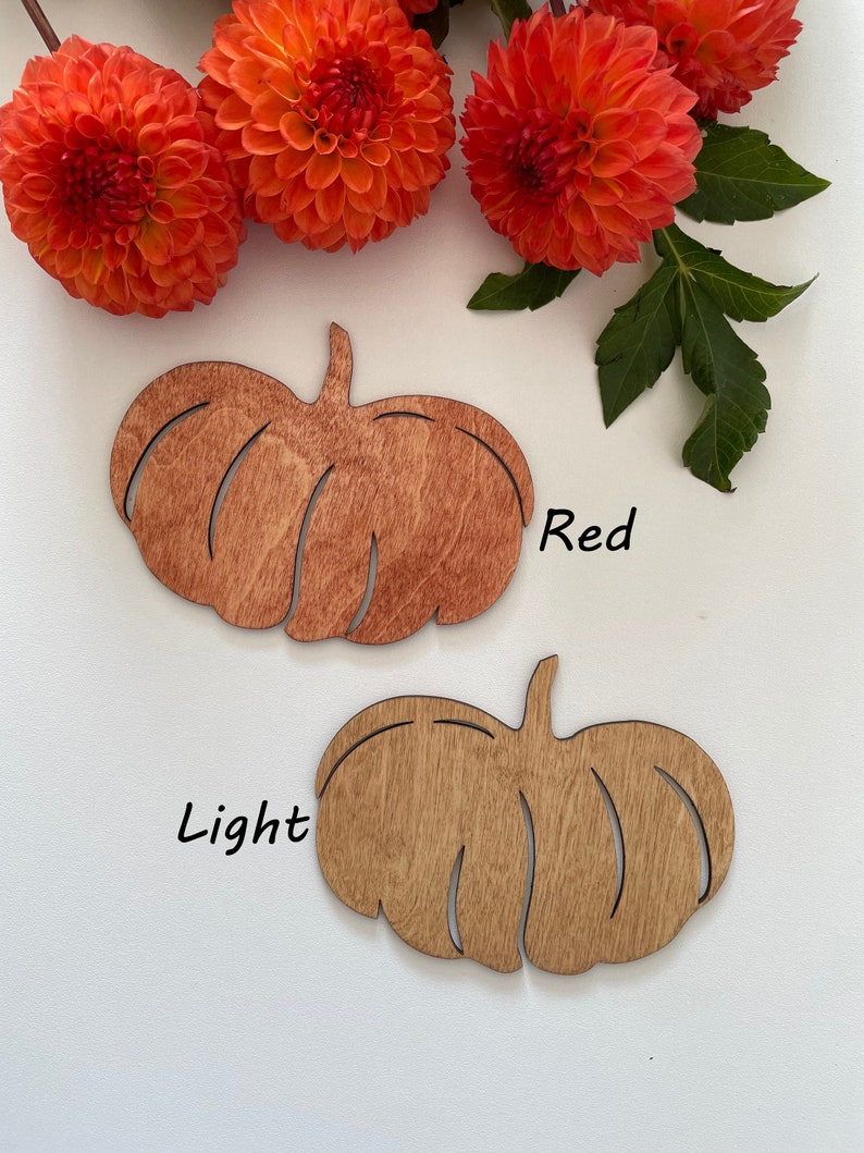 Pumpkin Under Plates Set, Charger Plate & Coaster, Easter Table Décor, Easter Gift for Family, Mother Day Gift, Wedding Rustic Decor image 9