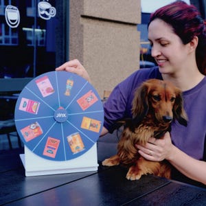 Spin The Wheel, Custom Game, Wedding Party Games, Pass The Prize Spinner, Business Game For Clients, Prize Wheel, Personalized Spin To Win