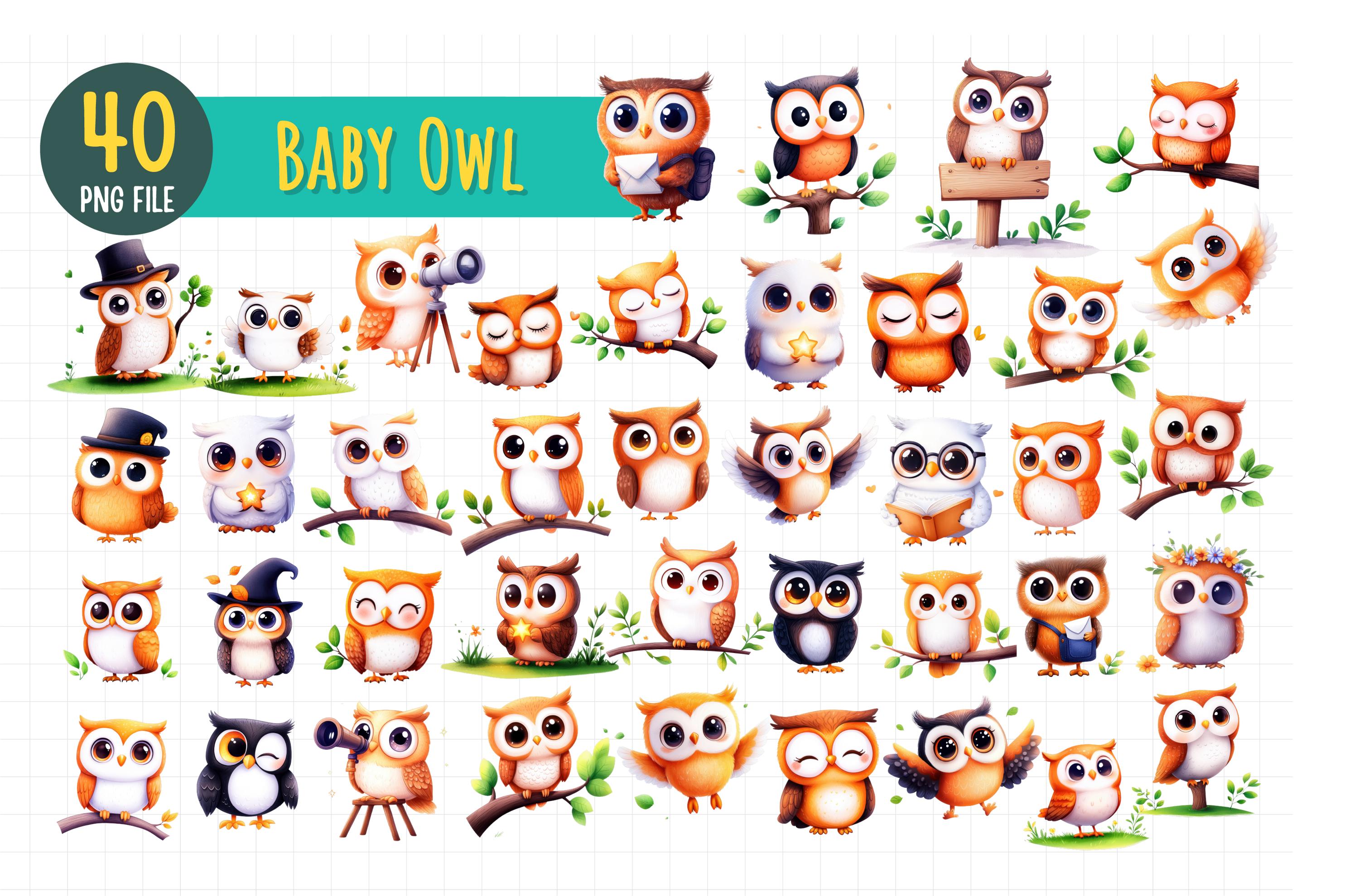 40 Baby Owl PNG Clipart | Cute Owl Digital Download | Woodland Animal Sublimation Bundle