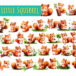 40 Little Squirrel PNG Clipart | Cute Squirrel Digital Download | Woodland Animal Sublimation Bundle
