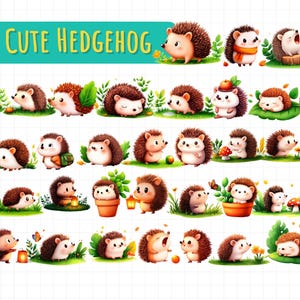 40 Cute Hedgehog PNG Clipart | Baby Hedgehog Digital Download | Woodland Animal Sublimation Bundle
