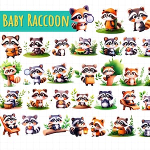 40 Baby Raccoon PNG Clipart | Cute Raccoon Digital Download | Woodland Animal Sublimation Bundle