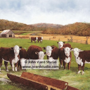 Hereford Autumn Cattle Art Print by John L. Ward, Hereford Cattle Wall Decor, Field of Cattle, Cow Home Decor, Hereford Cattle Wall Hanging