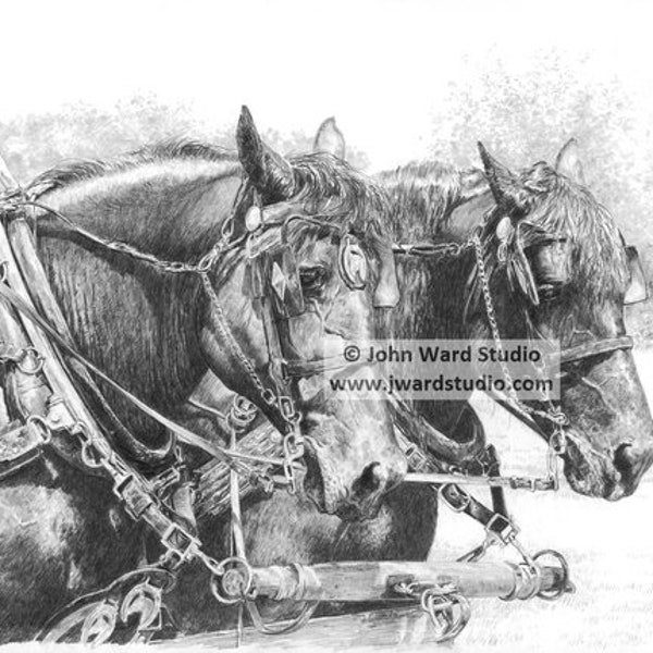 Draft Horse Art Etsy