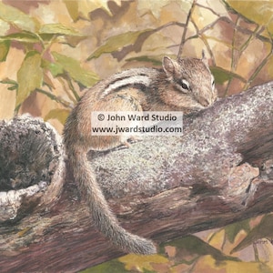 Chipmunk Art Print by John L. Ward, Wildlife Art, Chipmunk Painting, Chipmunk Wall Hanging, Chipmunk Wall Decor, Wildlife Decor