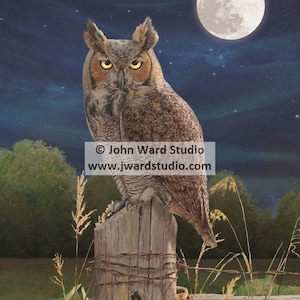 Night Patrol Art Print by John L. Ward, Great Horned Owl Art Print, Owl Lover Gift, Bird Watcher Present, Great Horned Owl Wall Decor