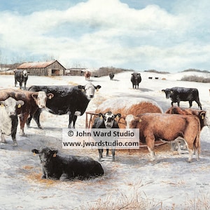 Winter Gathering Cattle Art Print by John L. Ward, Herd of Cattle Picture, White Black Brown Cattle Wall Decor, Cattle Farming Decor
