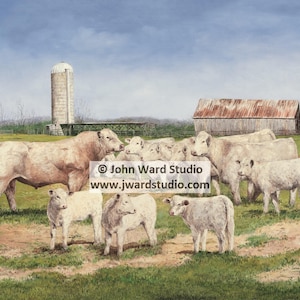 May include: A painting of a white bull and several white calves in a field. The bull is standing in the center of the image, with the calves surrounding it. There is a barn and a silo in the background. The painting is titled "John Ward Studio" and includes the website address "www.jwardstudio.com".