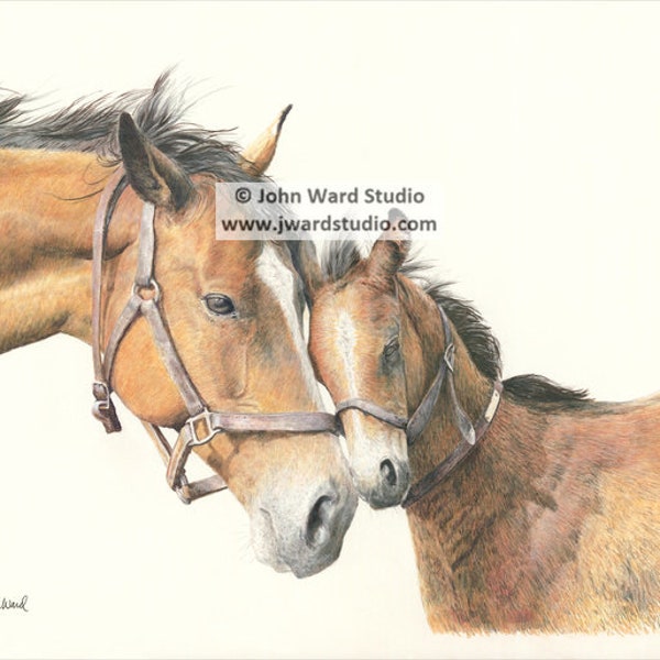 Affection Print by John Ward, Mare and Foal Art, Mother and Baby Print