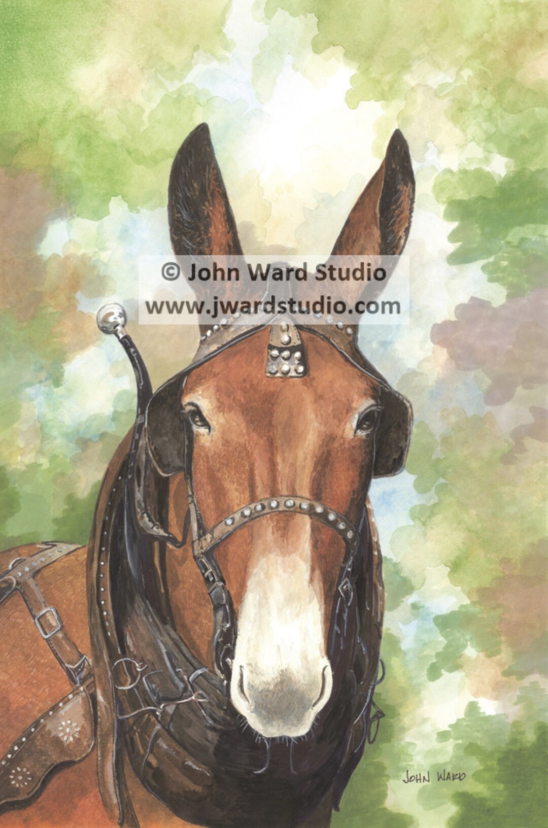 Buford Mule Print by John Ward, Mule Art, Mule and Harness, Mule Portrait, Country Primitive Art